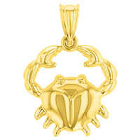 Load image into Gallery viewer, High Polish 14k Yellow Gold 3D Cancer Zodiac Sign Charm Crab Animal Pendant With Cable, Curb or Figaro Chain Necklace

