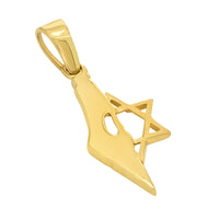 Load image into Gallery viewer, 14k Yellow Gold Map of Israel with Star of David Pendant Necklace
