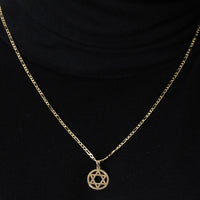 Load image into Gallery viewer, 14k Yellow Gold Shield of David Round Jewish Star Pendant with Figaro Necklace
