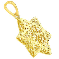 Load image into Gallery viewer, 14k Yellow Gold Textured 3D Jewish Star of David Pendant
