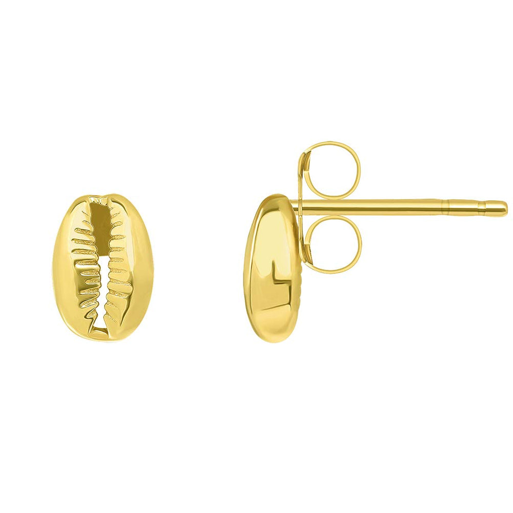 14k Gold Cowrie Shell Stud Seashell Earrings