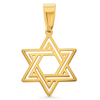 Load image into Gallery viewer, 14k Yellow Gold Star of David Pendant Necklace
