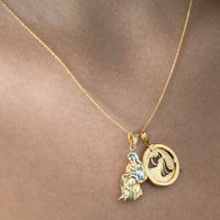 Load image into Gallery viewer, 14K Yellow Gold Reversible Round Aquarius Zodiac Sign Pendant
