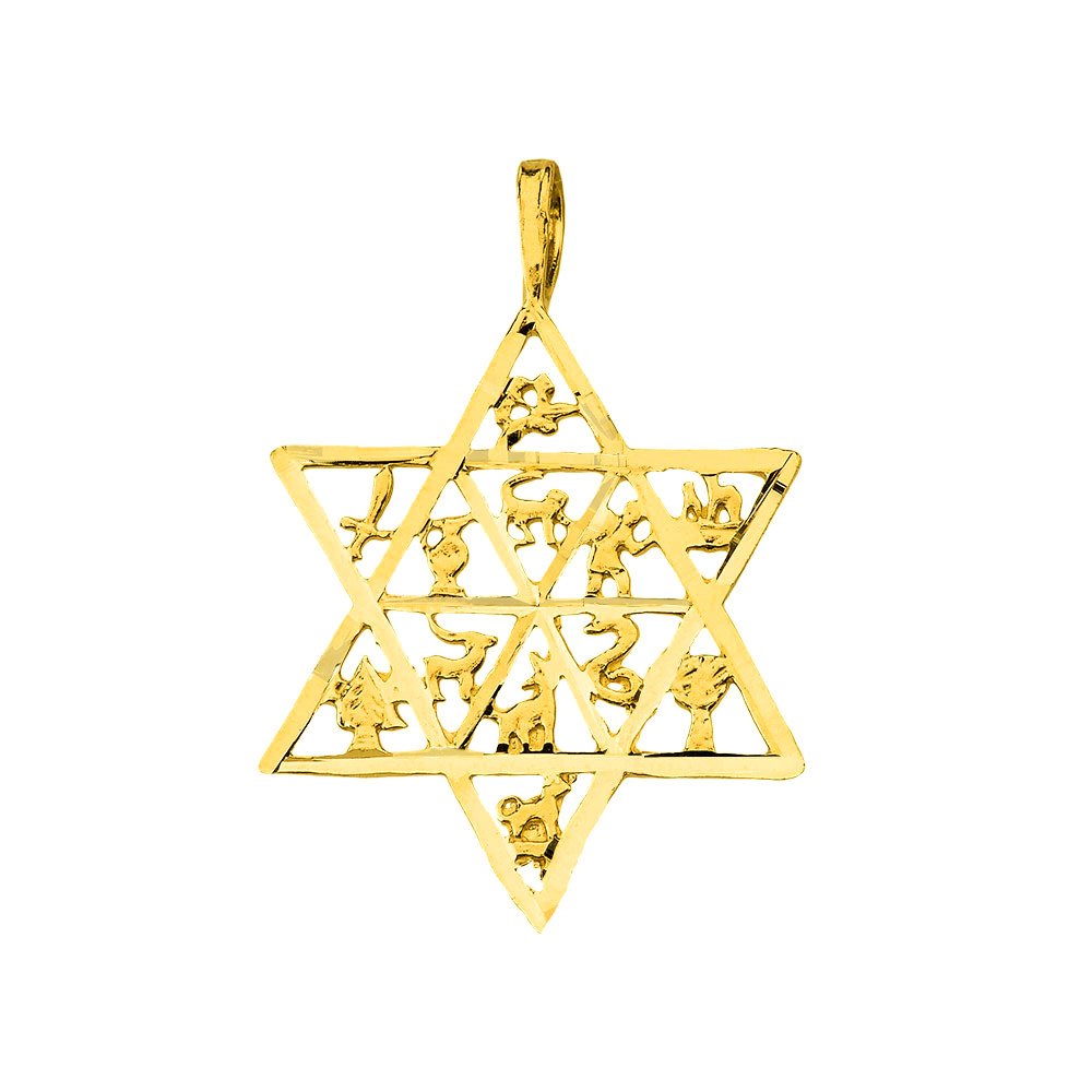 Jewelry America 14k Yellow Gold Textured Star of David Charm with 12 Tribes of Israel Pendant