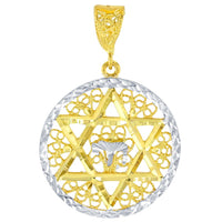 Load image into Gallery viewer, Solid 14K Yellow Gold Round Filigree Star of David with Chai Symbol Pendant Necklace

