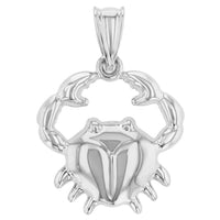 Load image into Gallery viewer, High Polish 14k White Gold 3D Cancer Zodiac Sign Charm Crab Animal Pendant
